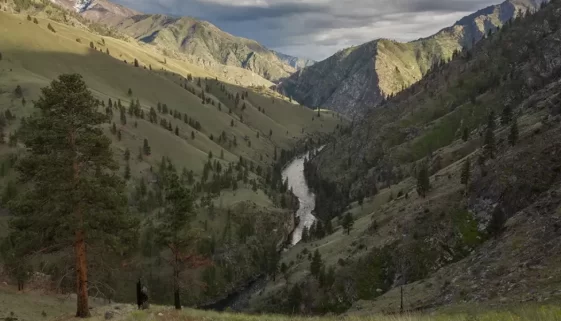 Frank Church–River of No Return Wilderness. Your guide to unforgettable adventures in Idaho's pristine backcountry.