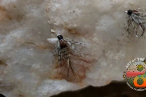 Pheasant Tail Soft Hackle 1. 3 copy Baetis Nymph