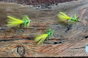 Little Green Worm Woolly Bugger Crappie, Panfish Bass Fly Pattern
