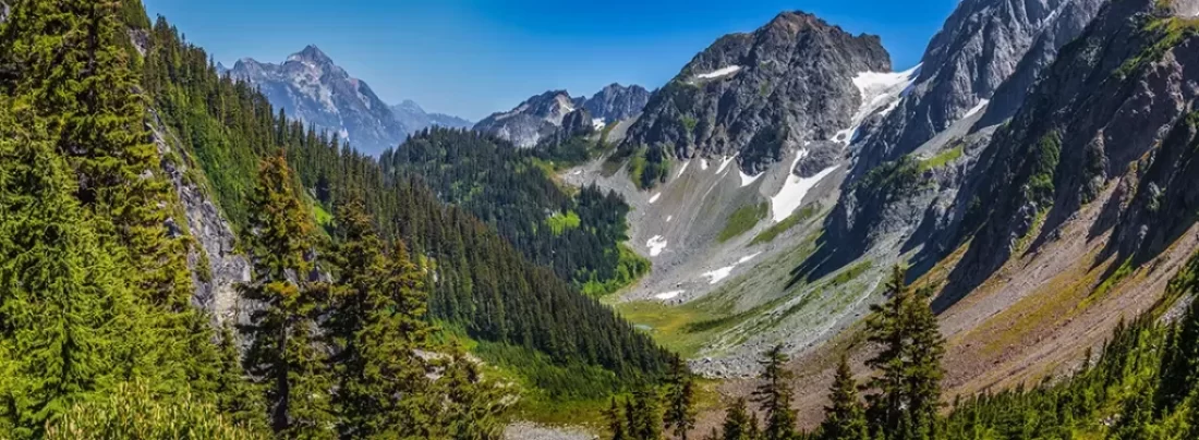 Explore the Rugged Beauty and Diverse Ecosystems of North Cascades National Park