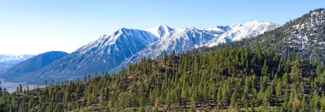 Explore the Arc Dome Wilderness Area History Hiking Fly Fishing Camping Guide. Plan your Nevada adventure Today.