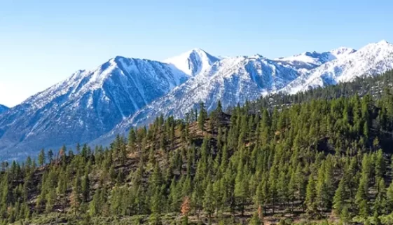Explore the Arc Dome Wilderness Area History Hiking Fly Fishing Camping Guide. Plan your Nevada adventure Today.