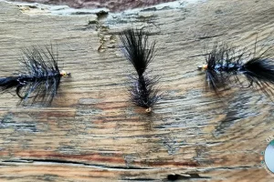 Beadhead Black Woolly Bugger