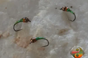 Orange Head Green Peral Perdigon