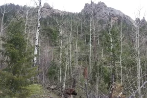 Peaks from the ridge, was a very over cast morning on West Creek Falls Hike.