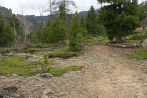 Ridge on trail to West Creek Falls in the Comanche Peaks Wilderness