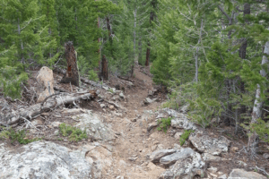 Starting down the Ridge in Comanche Peaks Wilderness towards West Creek Falls.