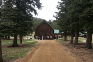 Hiking down driveway on McGraw Ranch, Rocky Mountain National Park, on the West Creek Falls Hike