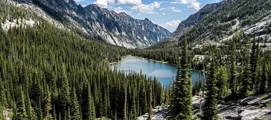 Explore the vast Selway-Bitterroot Wilderness. Find info on hiking trails, fly fishing spots, history, and planning tips for your Idaho/Montana adventure.
