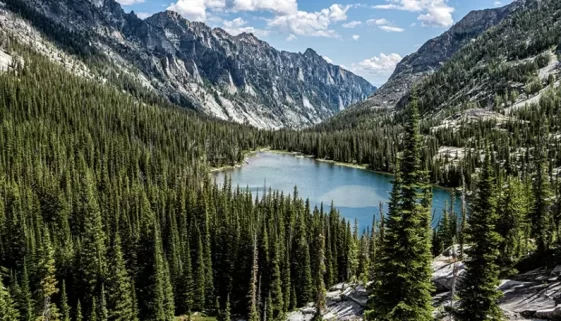 Explore the vast Selway-Bitterroot Wilderness. Find info on hiking trails, fly fishing spots, history, and planning tips for your Idaho/Montana adventure.
