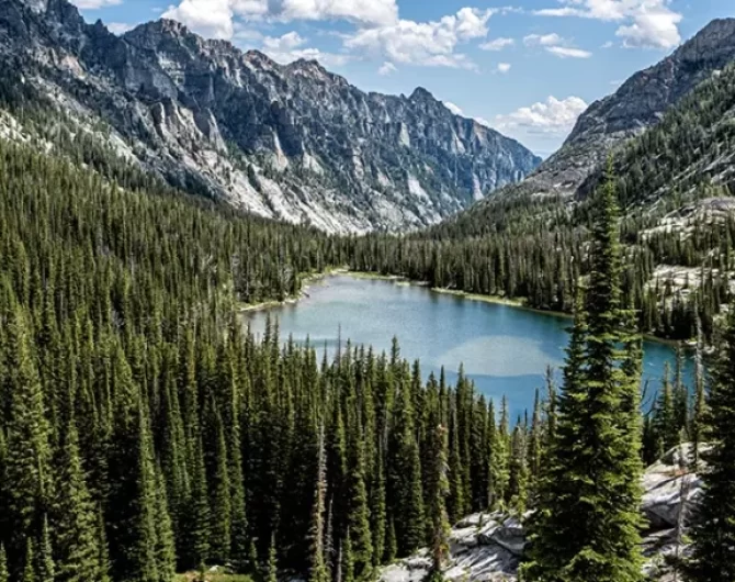 Explore the vast Selway-Bitterroot Wilderness. Find info on hiking trails, fly fishing spots, history, and planning tips for your Idaho/Montana adventure.