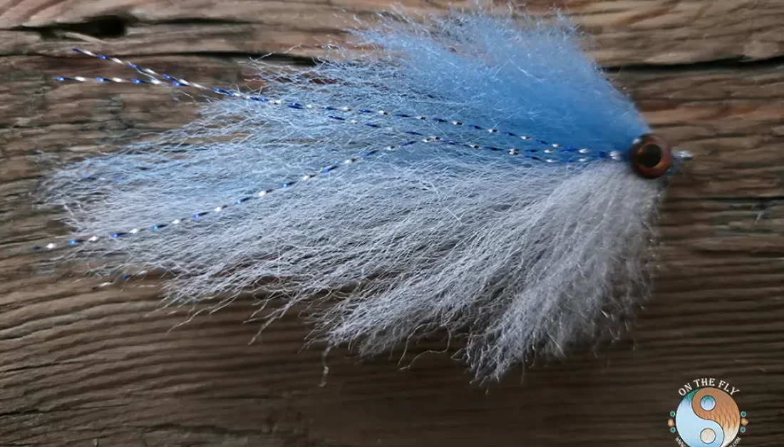Blue-White Pelagic Forger Minnow.