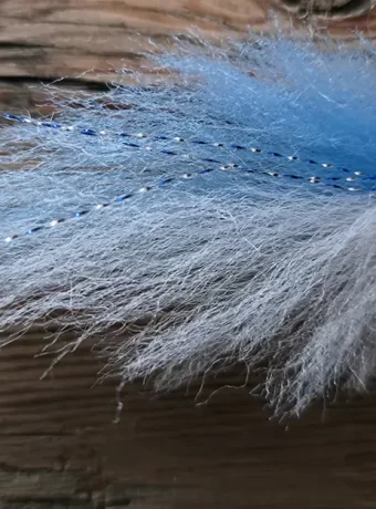 Blue-White Pelagic Forger Minnow.