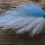 Blue-White Pelagic Forger Minnow.