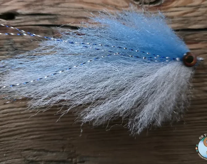Blue-White Pelagic Forger Minnow.