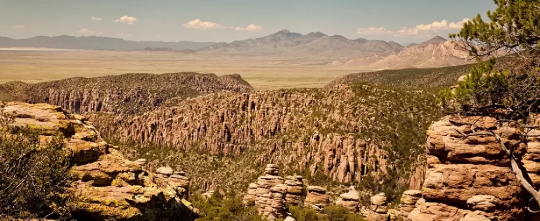 Explore Chiricahua National Monument Wilderness! Learn its rich history, best hiking trails, and incredible rock formations. Plan your Arizona adventure now.
