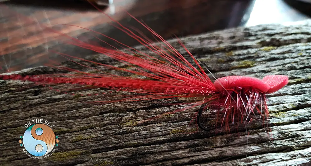 Gurgler Red Demon 1. 3 Red Demon Gurgler for Snook Fly Fishing.