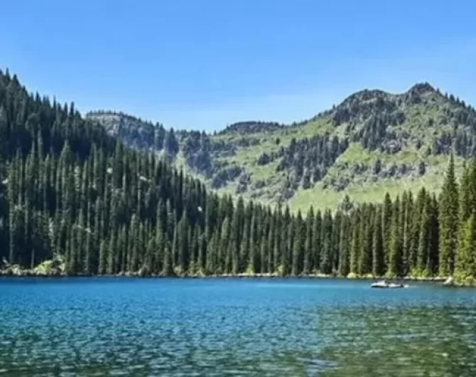 Mission Mountains Wilderness 1. 3 Discover the stunning Mission Mountains Wilderness in Montana. Find info on hiking trails, fly fishing spots, history, and practical tips.