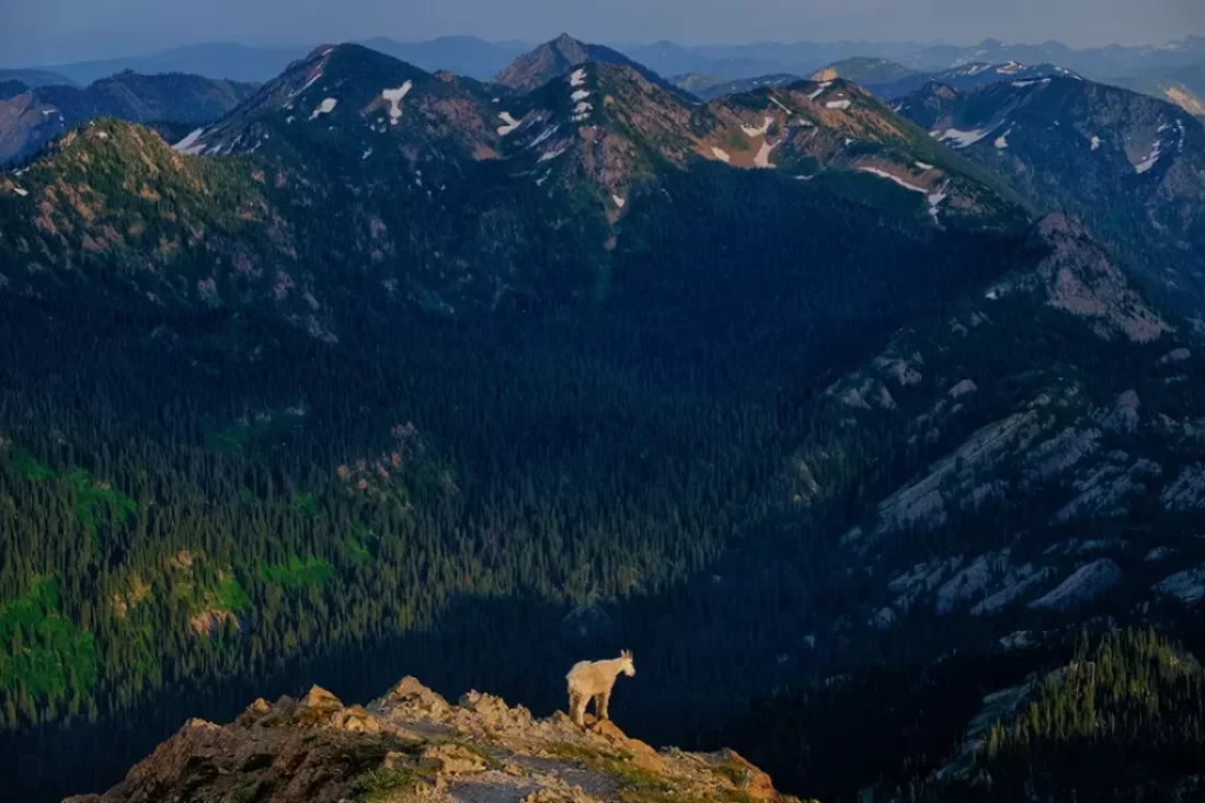 Seeley-Swan Valley Montana! Find the best hiking trails, top fishing spots like Shay Lake, and fly fishing secrets on the Swan River.