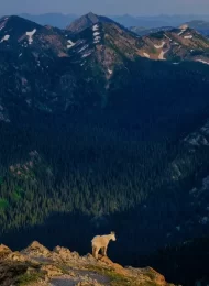 Seeley-Swan Valley Montana! Find the best hiking trails, top fishing spots like Shay Lake, and fly fishing secrets on the Swan River.