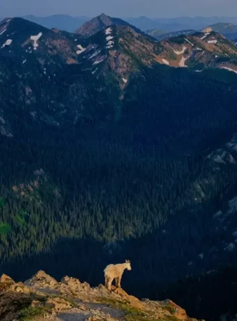 Seeley-Swan Valley Montana! Find the best hiking trails, top fishing spots like Shay Lake, and fly fishing secrets on the Swan River.