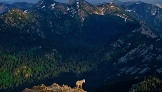 Seeley-Swan Valley Montana! Find the best hiking trails, top fishing spots like Shay Lake, and fly fishing secrets on the Swan River.