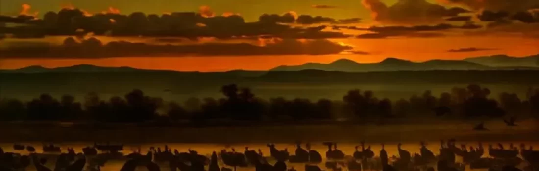 Wild Wacky and Wonderful World of Bosque del Apache National Wildlife Refuge: A Adventure Guide for unforgettable outdoor escapades!