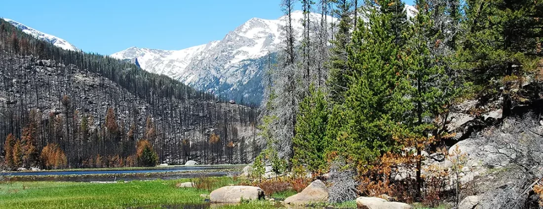Plan your 4 Day Camping Excursion Moraine Park Campground Rocky Mountain National Park with this guide to hikes, fishing, elk viewing, Get Lost in America