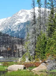 Plan your 4 Day Camping Excursion Moraine Park Campground Rocky Mountain National Park with this guide to hikes, fishing, elk viewing, Get Lost in America
