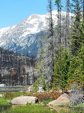 Plan your 4 Day Camping Excursion Moraine Park Campground Rocky Mountain National Park with this guide to hikes, fishing, elk viewing, Get Lost in America