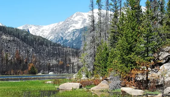 Plan your 4 Day Camping Excursion Moraine Park Campground Rocky Mountain National Park with this guide to hikes, fishing, elk viewing, Get Lost in America