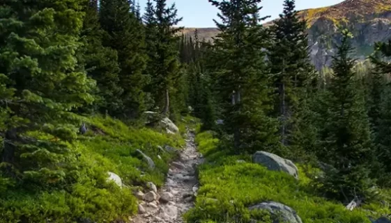 Backpacking Continental Divide Trail in RMNP, Get Lost in America.