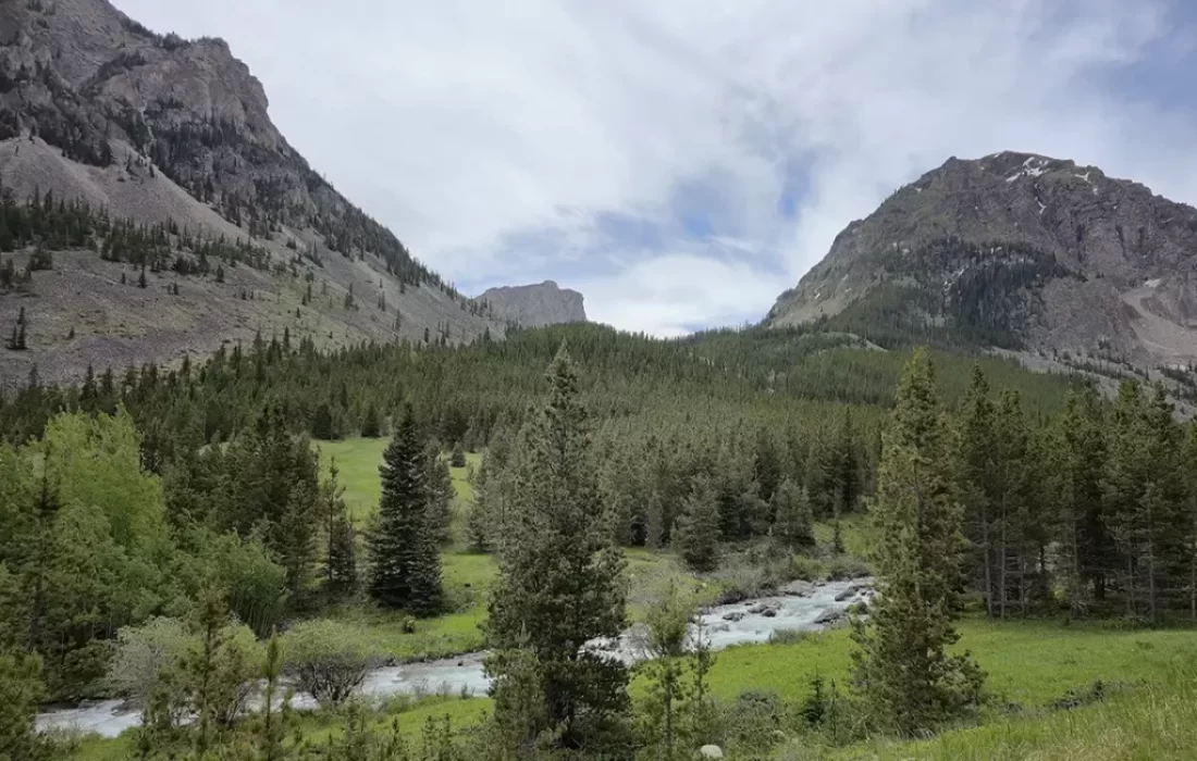 Importance of Public Lands to Public and Environmental Health: Preservation is the Power of Success