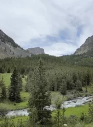 Importance of Public Lands to Public and Environmental Health: Preservation is the Power of Success