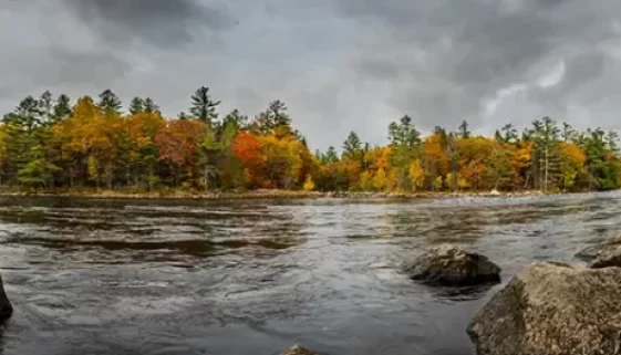 DIY fly fishing the Penobscot River trip. Find the best spots, flies, and gear for landlocked salmon and trout.