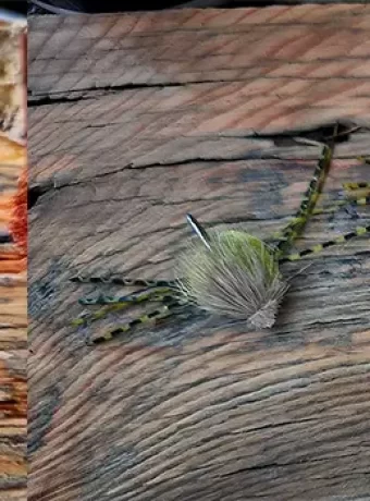 Learn about the evolution of crab patterns for saltwater fly fishing, from old yarn flies to modern classics, and discover the top 15 flies for your box.