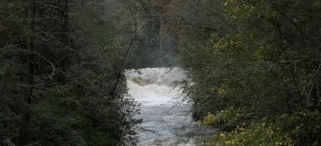 South Carolina Fly Fishing Adventure Chattooga, Lower Saluda, and Whitewater Rivers. Includes camping tips, fly recommendations, river access, and sarcastically poetic detours to historic sites and waterfalls. Adventure, trout, and ghost tunnels await.