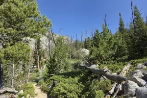 Glacier Lake Trail-Beartooth Mountains Montana-32. 3