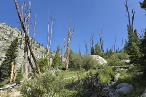 Glacier Lake Trail-Beartooth Mountains Montana-33. 3 Glacier Lake Trail-Beartooth Mountains Montana-33. 3
