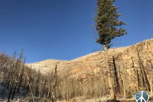 Harmonica Arch Lost Creek Wilderness 11. 3 Lone tree adds a depth of color to the scene, Get Lost in America.