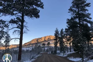 Took all most double the time to drive in this morning to Goose Creek Trail Head, with such beauty everywhere. Stopped a lot, Get Lost in America.