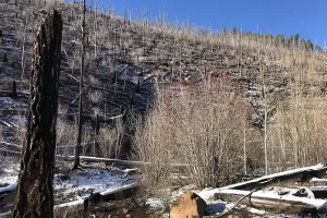Harmonica Arch Lost Creek Wilderness 30. 3 This section of wilderness is burnt from a forest fire for the next quarter mile.