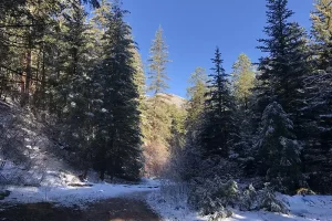 Harmonica Arch Lost Creek Wilderness 31. 3 Leaving the forest fire area from the burn area, to a denser forest floor along Goose Creek in Lost Creek Wilderness, Get Lost in America.