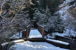 Harmonica Arch Lost Creek Wilderness 32. 3 This is the second bridge, take a left here not crossing the bridge. The trail is not marked, but easy to follow once you start, Get Lost in America.