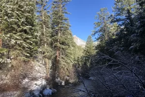 Harmonica Arch Lost Creek Wilderness 33. 3 Looking up stream