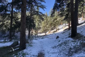 Harmonica Arch Lost Creek Wilderness 39. 3 trail for the next 3/4 of mile is pretty well defined and easy to follow, Get Lost in America.