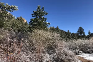 Harmonica Arch Lost Creek Wilderness 50. 3 Harmonica Arch Lost Creek Wilderness 50. 3