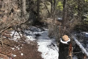 Harmonica Arch Lost Creek Wilderness 62. 3 Harmonica Arch Lost Creek Wilderness 62. 3