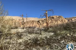 Harmonica Arch Lost Creek Wilderness 8. 3