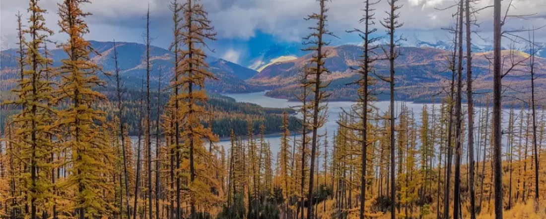 Complete guide to Hungry Horse Reservoir fly fishing camping and hiking. Discover top lakes, flies, trails, and campsites.
